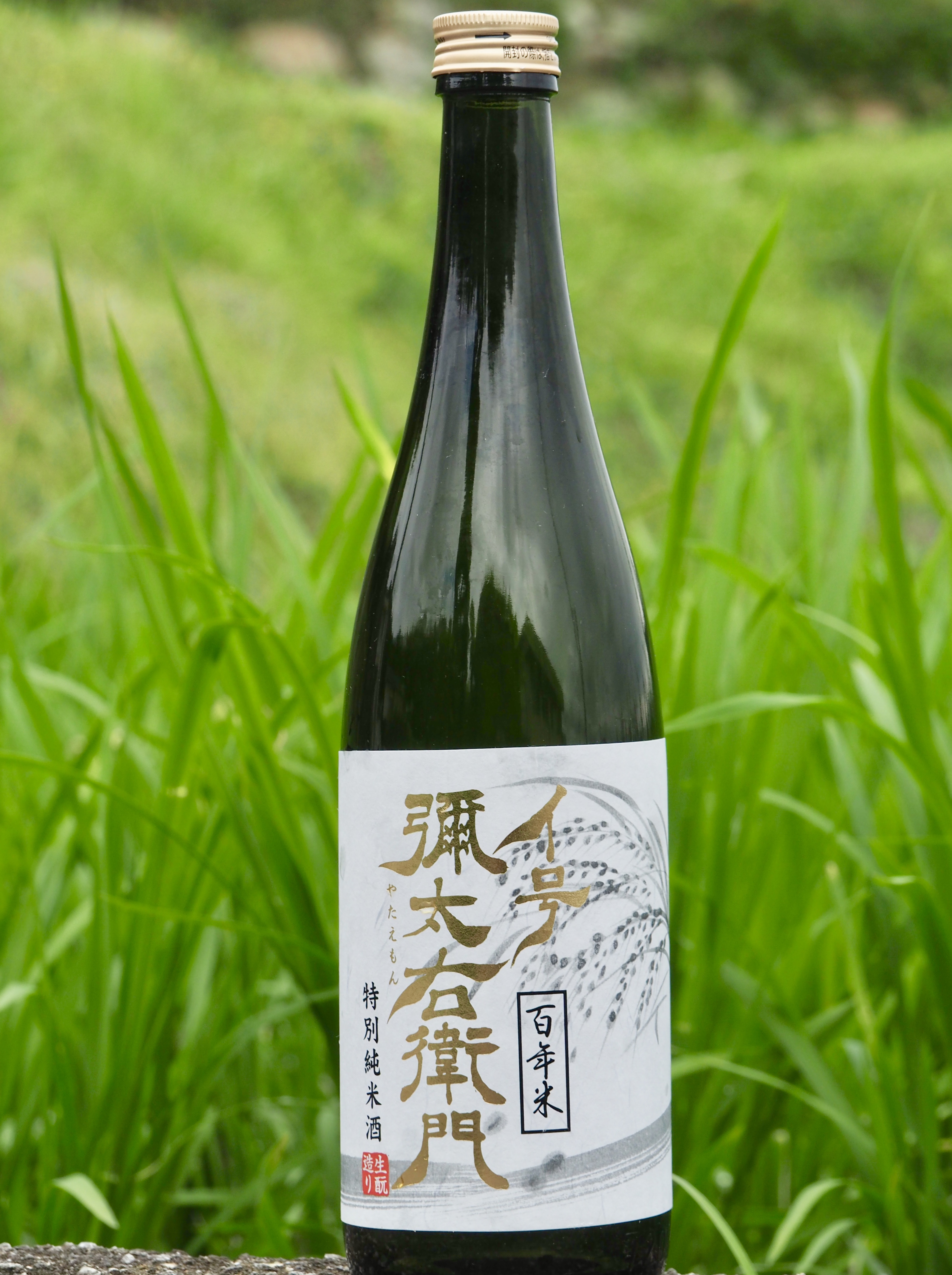 日本酒　四合瓶　信濃　九郎右衛門　テンボイチなど 日本酒 四合瓶 信濃 九郎右衛門 テンボイチなど