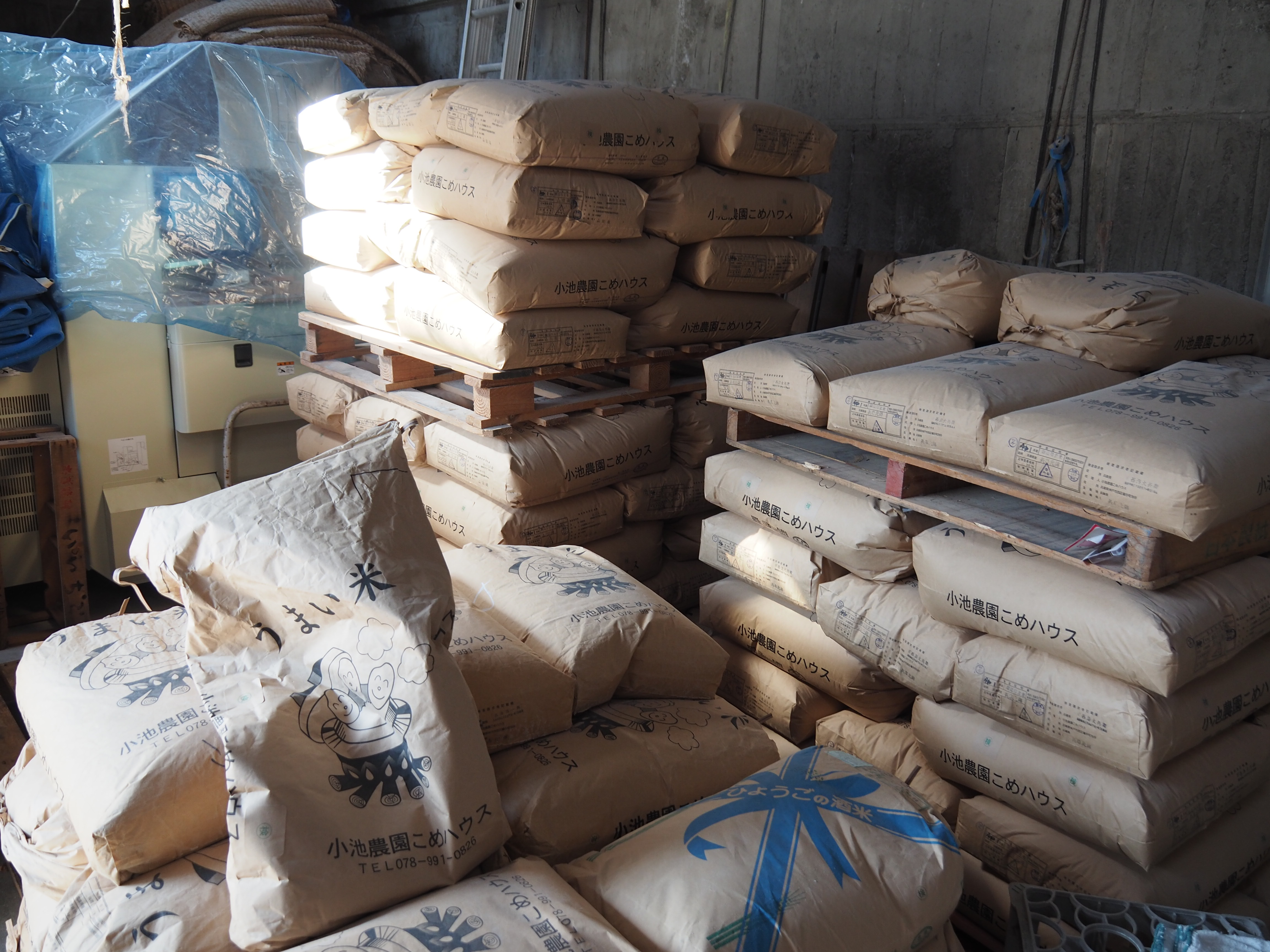 特定名称酒を造るために、刈り取ったお米は等級審査を受けてから精米し