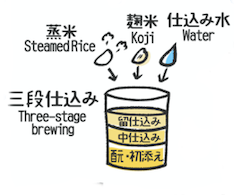 イラストでみる日本酒づくり 日本酒ツーリズム 全国蔵元 銘柄情報 日本酒を蔵元を旅するポータルサイト